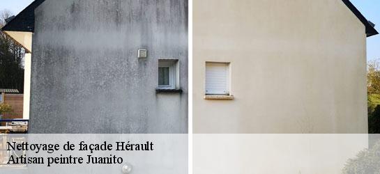 Nettoyage de façade Hérault