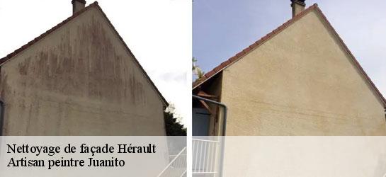 Nettoyage de façade Hérault