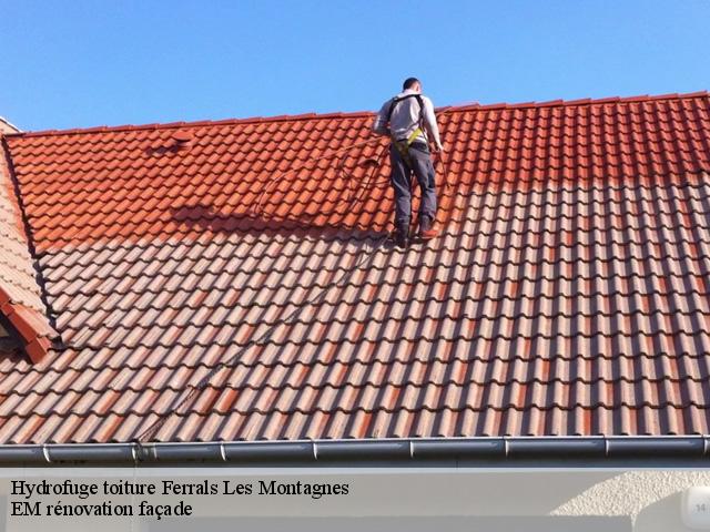 Hydrofuge toiture  ferrals-les-montagnes-34210 EM rénovation façade