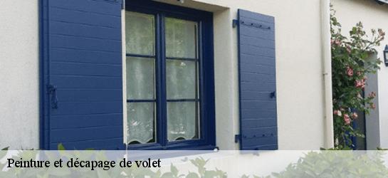 Peinture et décapage de volet  34210