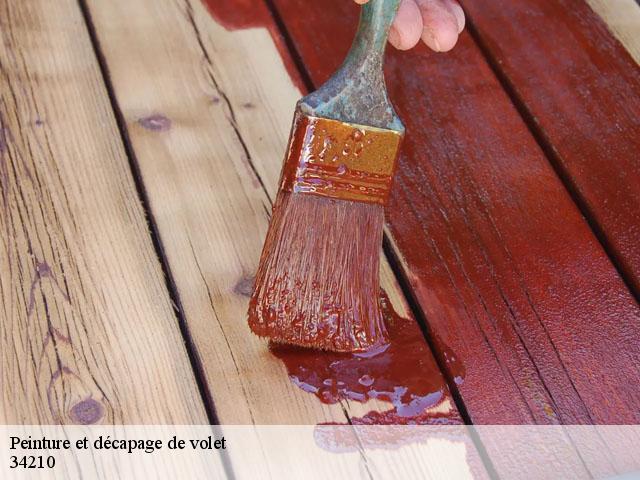 Peinture et décapage de volet  34210