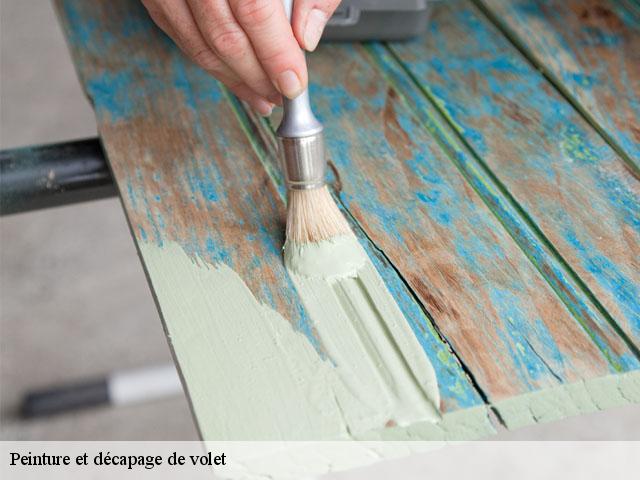 Peinture et décapage de volet  34400