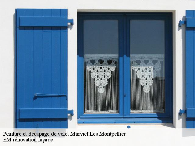 Peinture et décapage de volet  murviel-les-montpellier-34570 EM rénovation façade