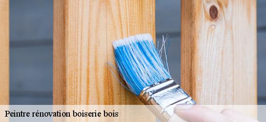 Peintre rénovation boiserie bois  34190