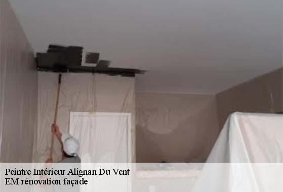 Peintre Intérieur  alignan-du-vent-34290 EM rénovation façade