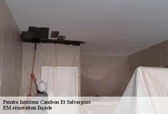 Peintre Intérieur  cambon-et-salvergues-34330 EM rénovation façade