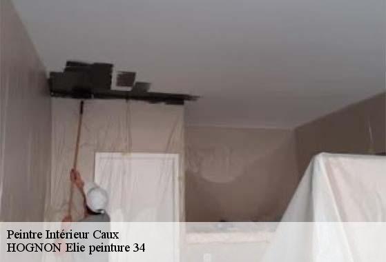 Peintre Intérieur  34720