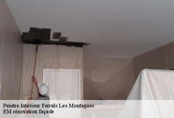 Peintre Intérieur  ferrals-les-montagnes-34210 EM rénovation façade