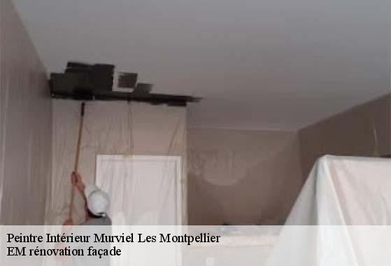 Peintre Intérieur  murviel-les-montpellier-34570 EM rénovation façade