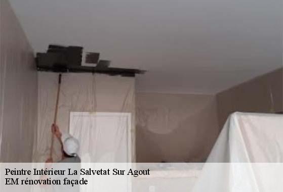 Peintre Intérieur  la-salvetat-sur-agout-34330 EM rénovation façade