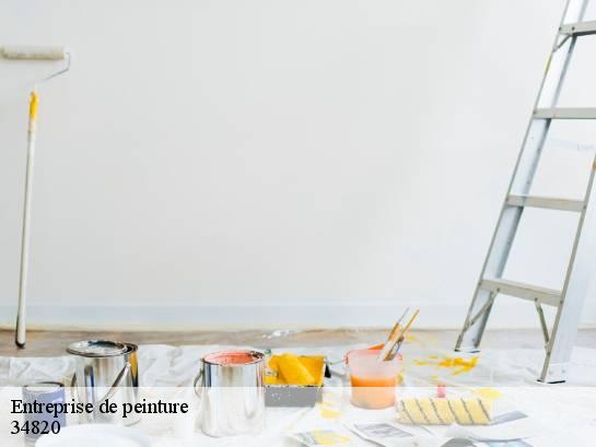 Entreprise de peinture  34820