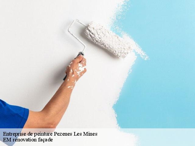 Entreprise de peinture  34600