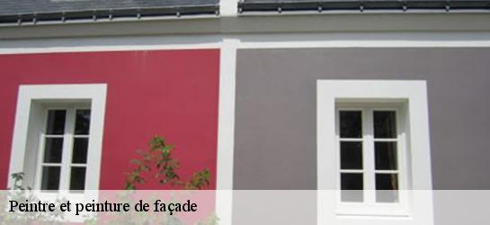 Peintre et peinture de façade  34520