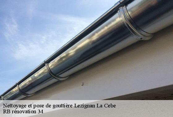 Nettoyage et pose de gouttière  lezignan-la-cebe-34120 EM rénovation façade