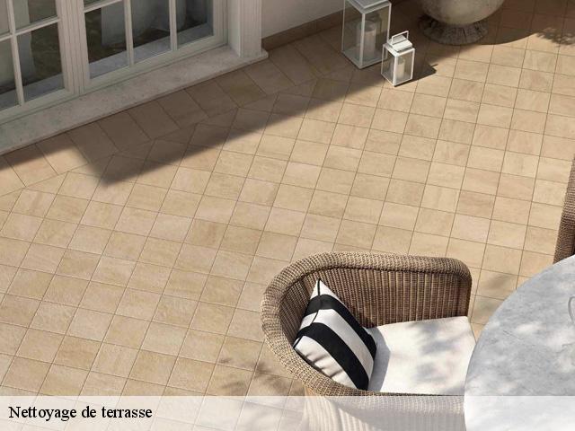 Nettoyage de terrasse  34110