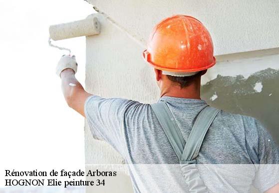 Rénovation de façade  arboras-34150 HOGNON Elie peinture 34