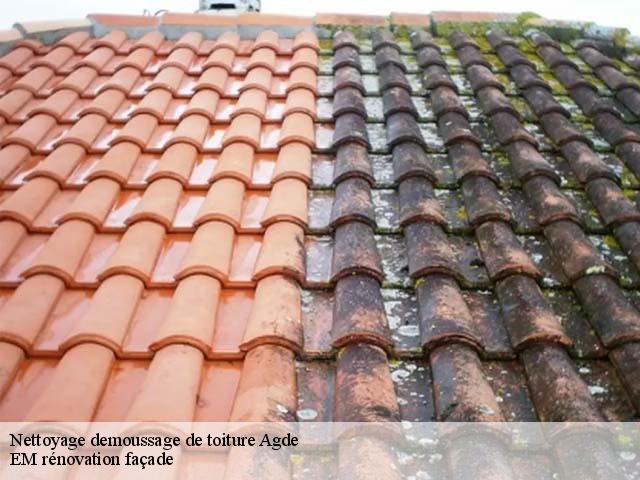 Nettoyage demoussage de toiture  agde-34300 EM rénovation façade