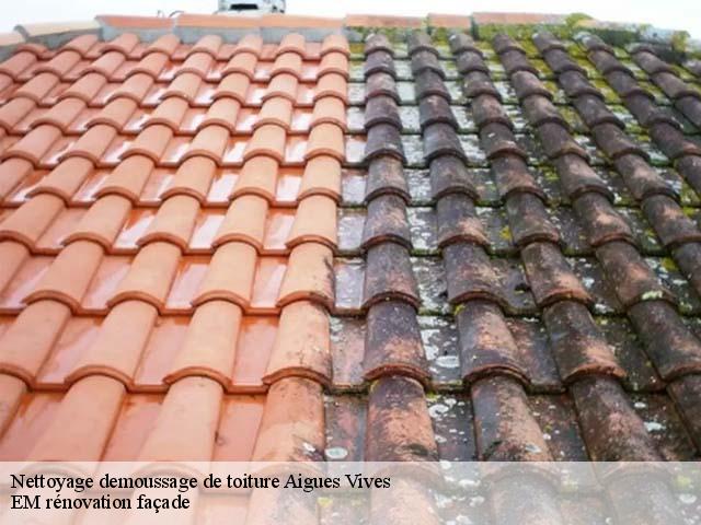 Nettoyage demoussage de toiture  aigues-vives-34210 EM rénovation façade