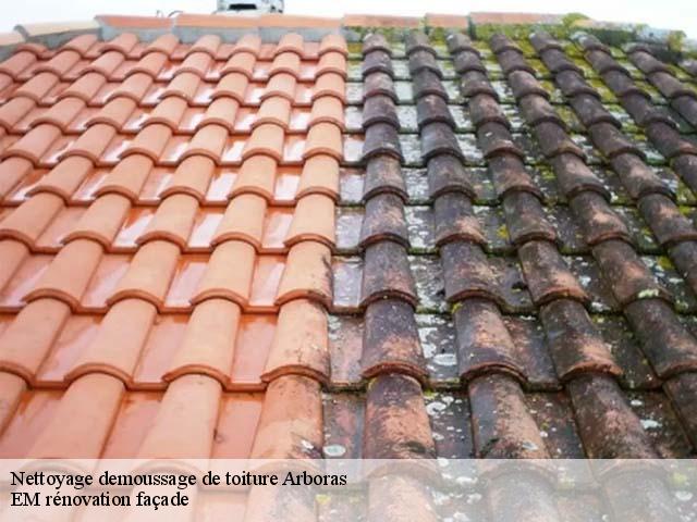 Nettoyage demoussage de toiture  arboras-34150 EM rénovation façade