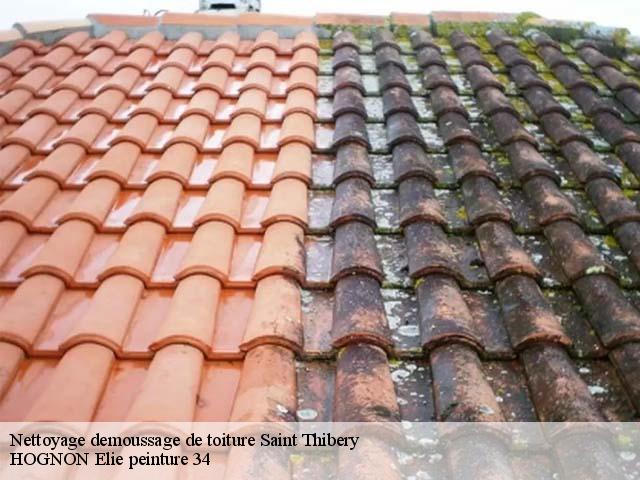 Nettoyage demoussage de toiture  saint-thibery-34630 HOGNON Elie peinture 34