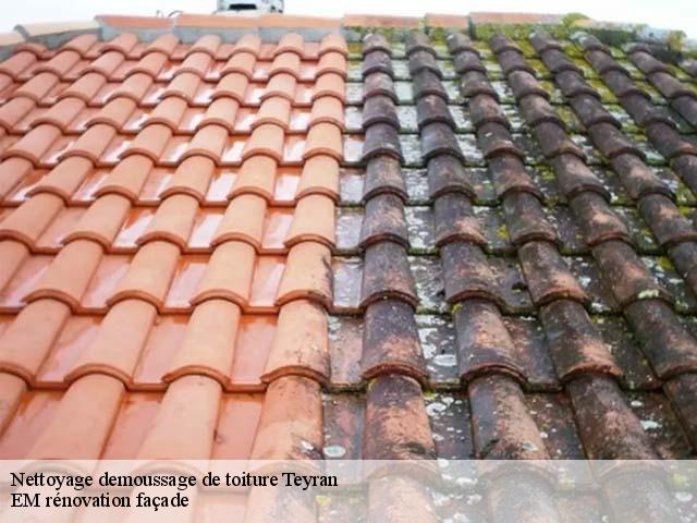 Nettoyage demoussage de toiture  teyran-34820 EM rénovation façade