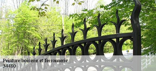 Peinture boiserie et ferronnerie  34480