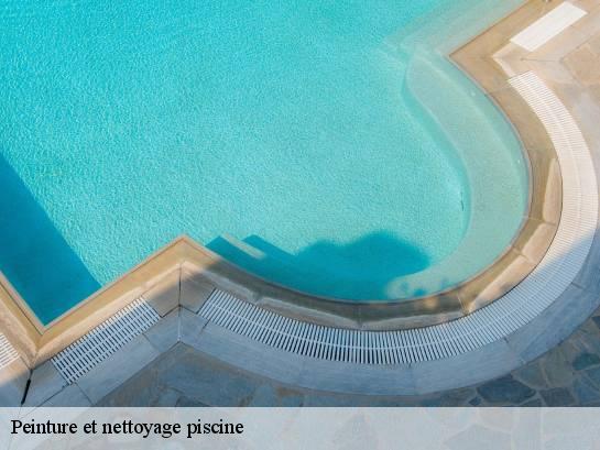 Peinture et nettoyage piscine  34160