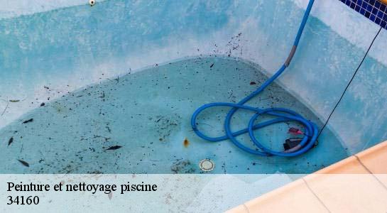 Peinture et nettoyage piscine  34160