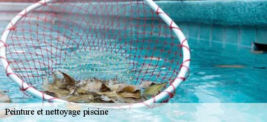 Peinture et nettoyage piscine  34150