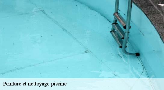 Peinture et nettoyage piscine  34150