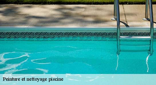 Peinture et nettoyage piscine  34560