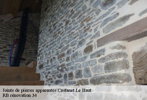 Joints de pierres apparentes  34610