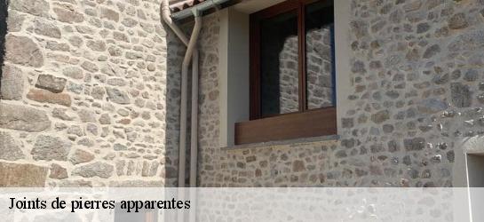 Joints de pierres apparentes  34610