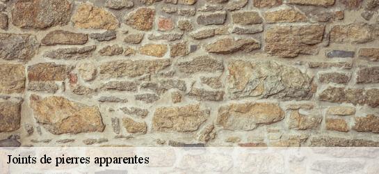 Joints de pierres apparentes  34610