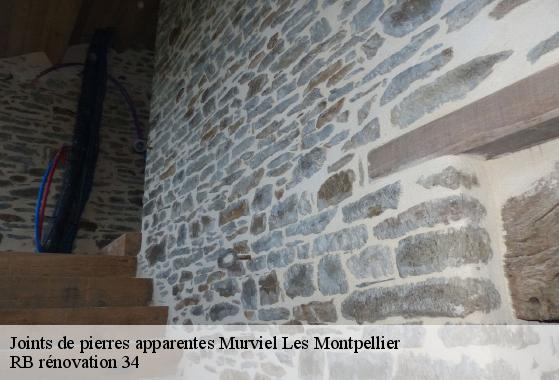 Joints de pierres apparentes  murviel-les-montpellier-34570 RB rénovation 34