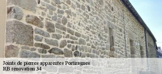 Joints de pierres apparentes  34420