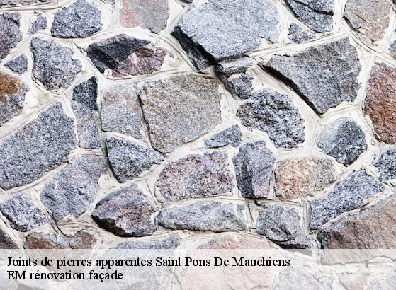 Joints de pierres apparentes  34230