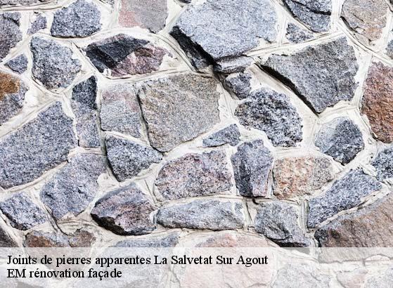 Joints de pierres apparentes  la-salvetat-sur-agout-34330 EM rénovation façade